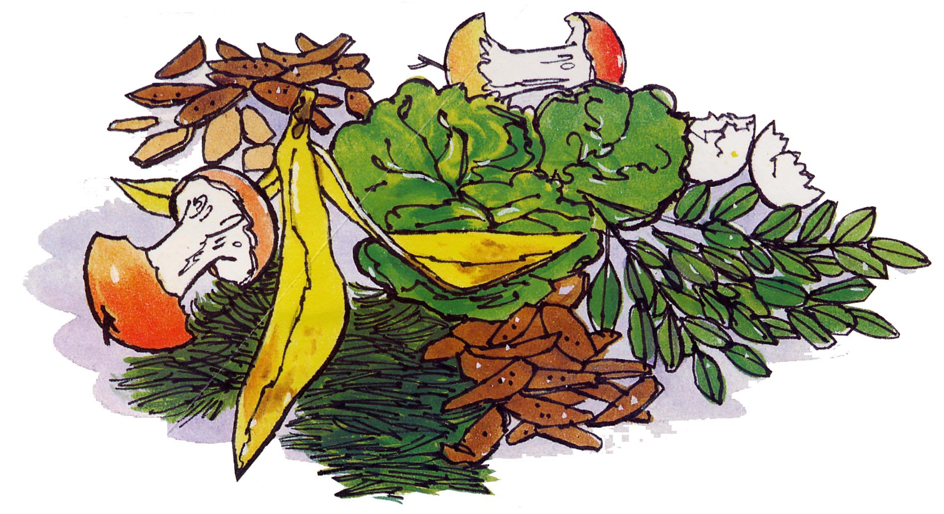 Food compost clipart.