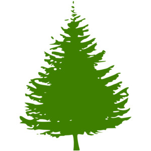 Pine Tree Clipart & Pine Tree Clip Art Images.