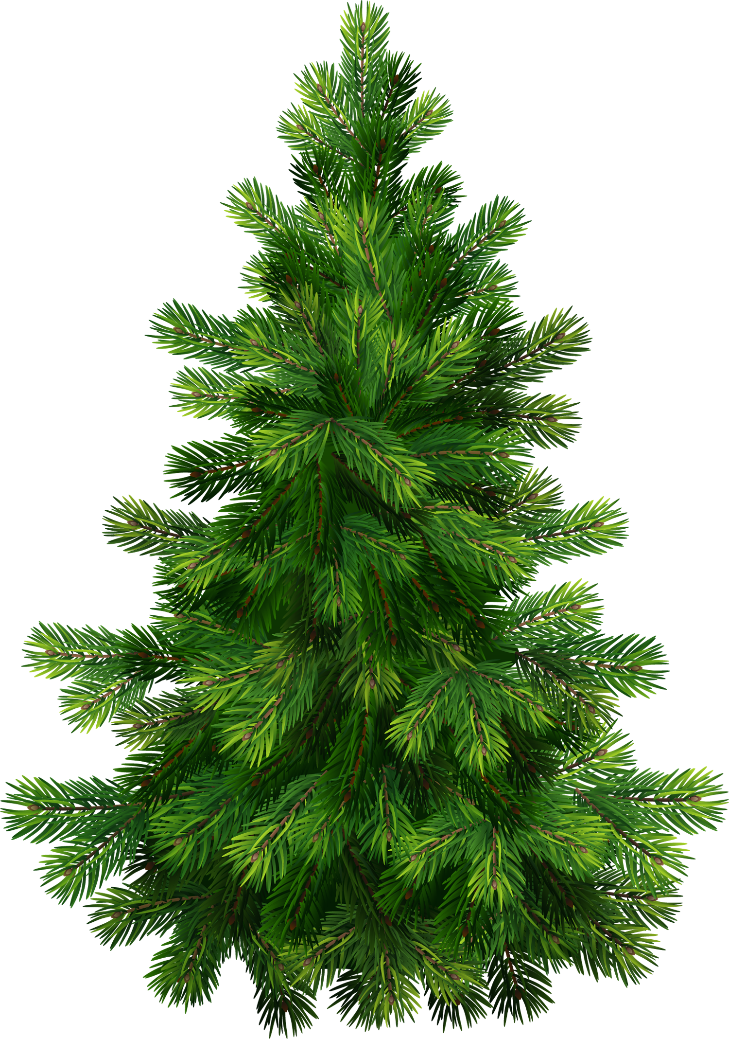 Clip art pine tree free clipart images image.