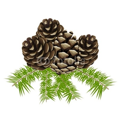 Conifers Clipart.