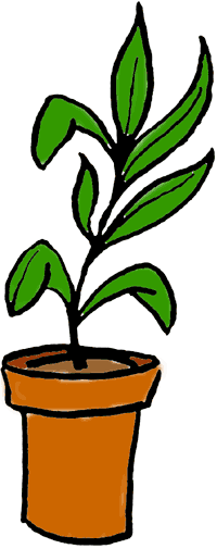 Potted Vegetable Plant Clipart.