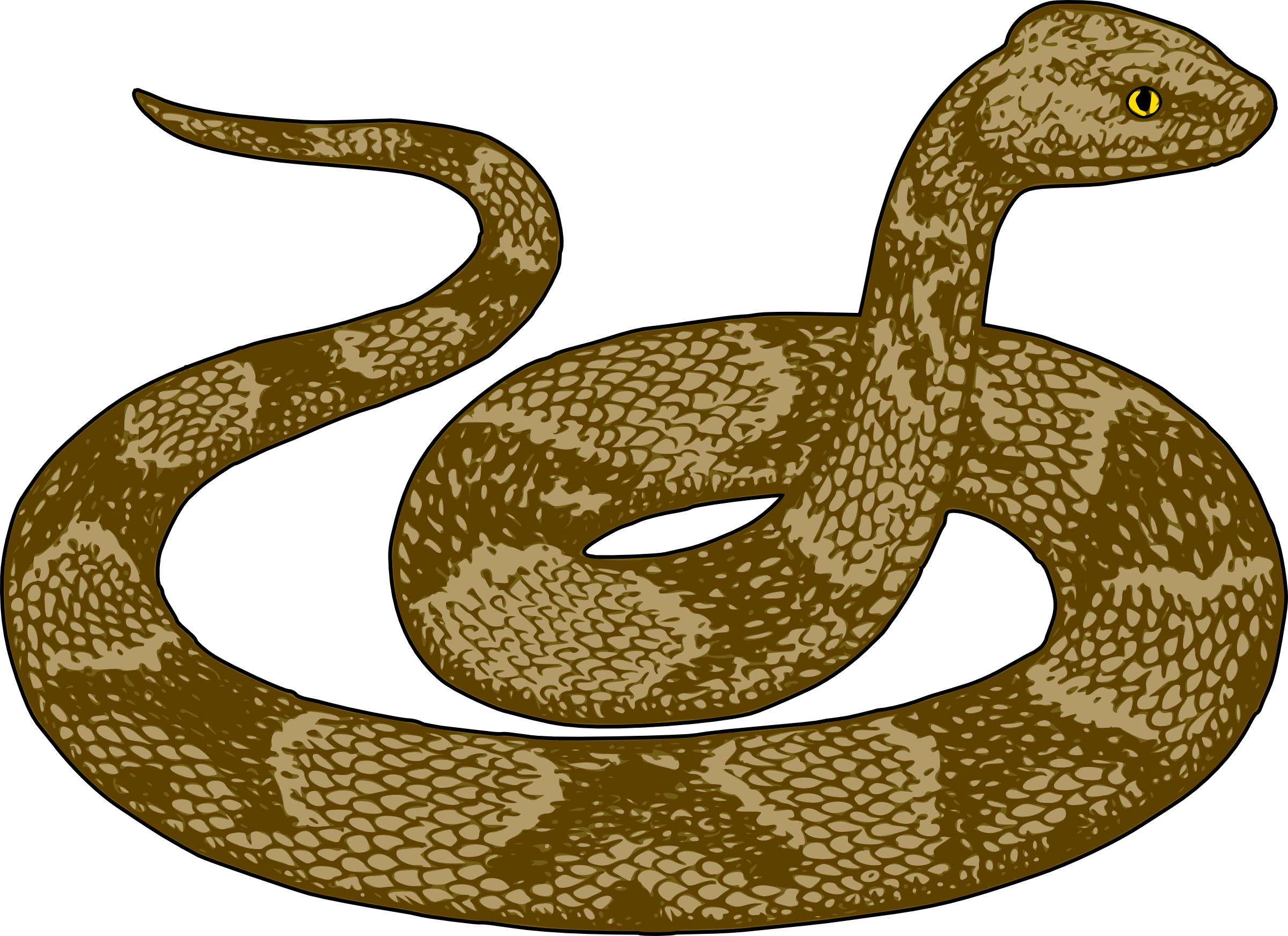 Copperhead snake clipart.