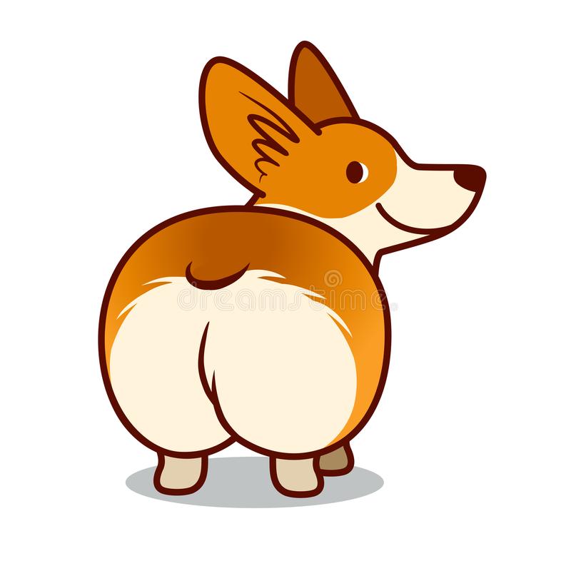 Corgi Stock Illustrations.