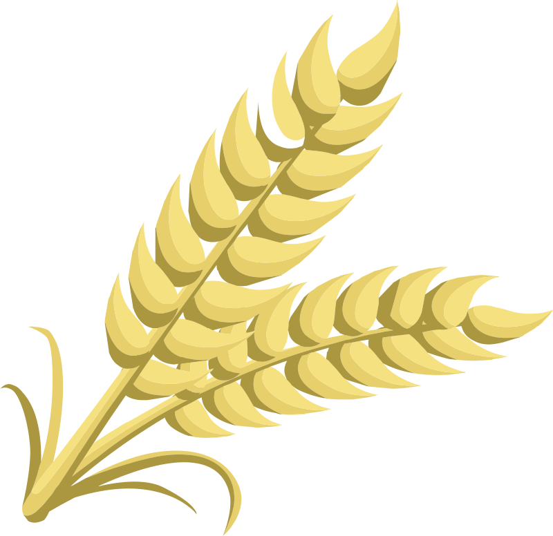 Corn And Wheat Clipart.