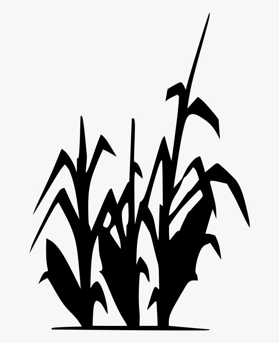 Cornfield Drawing Grain Field Transparent Png Clipart.