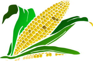 Corn Field Clip Art.