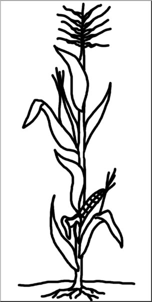 Clip Art: Cornstalk B&W I abcteach.com.