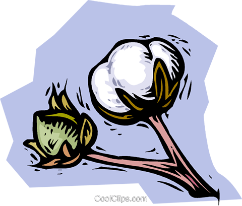 Cotton plant clip art.