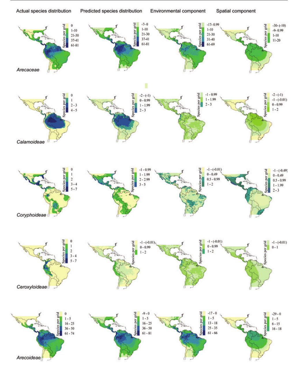 Historical legacies in the geographic diversity patterns of New.