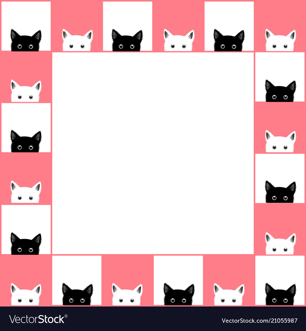 Black white cat chess board border pink background.