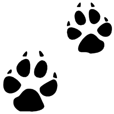 Cat Paw Print transparent PNG.