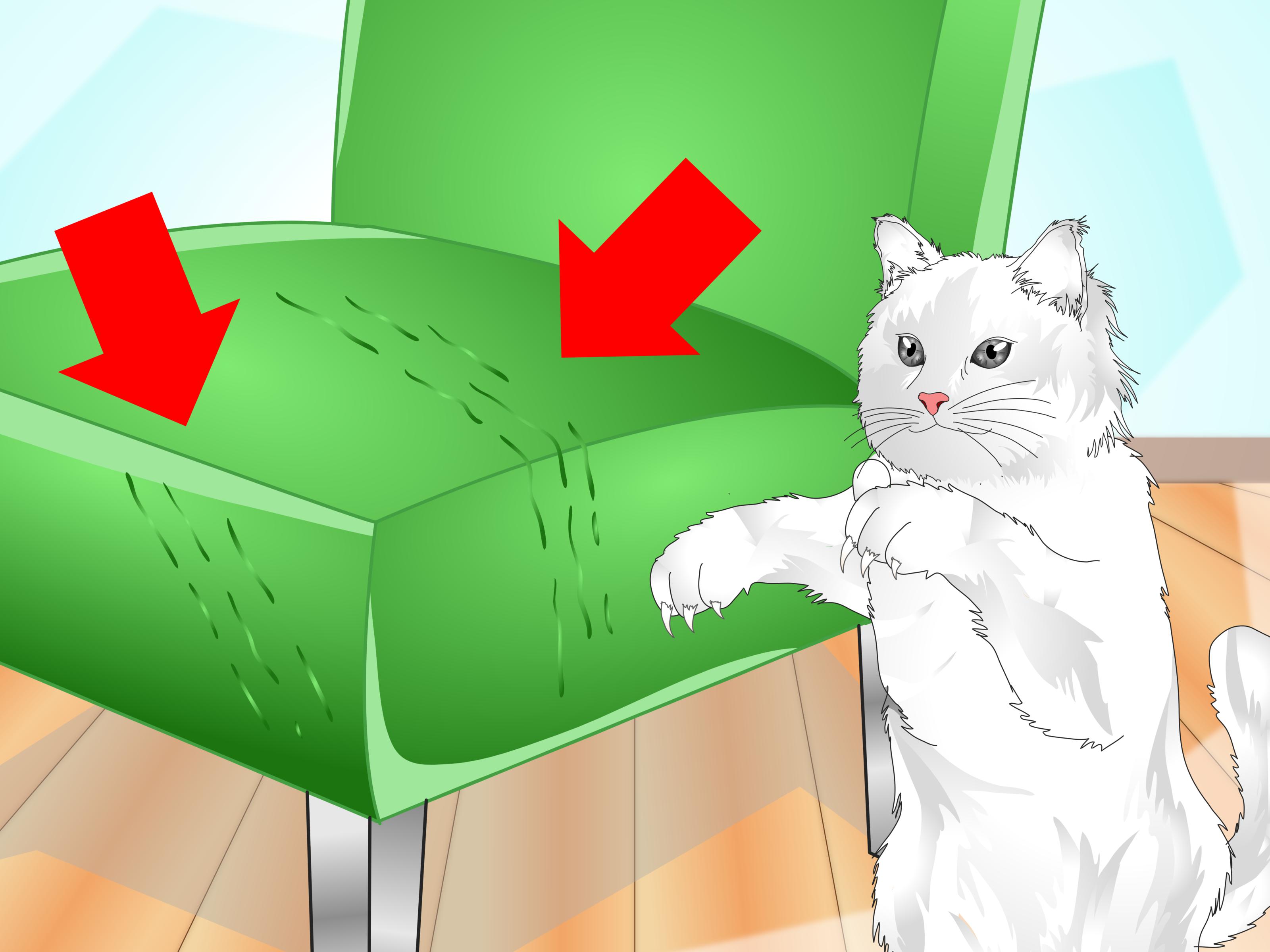 How to Clean a Cat Scratching Post: 9 Steps (with Pictures).