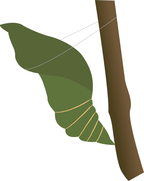 Botany,Plant,Leaf Vector Clipart.