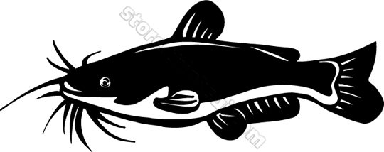 Free Catfish Clipart.