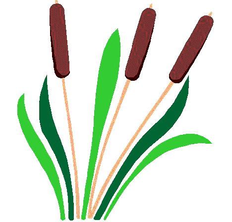 Cattails Clipart.