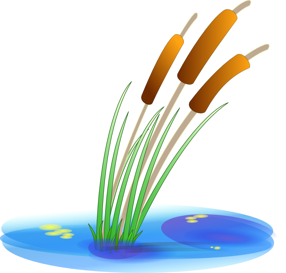 cattails clipart.