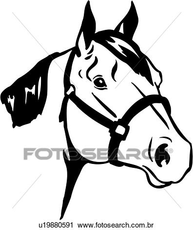 Animal, raças, cavalo, cavalo um quarto, cabeça, Clipart.