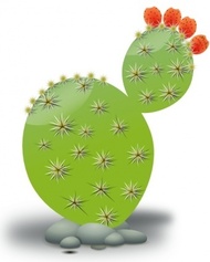 Prickly pear cactus clipart.