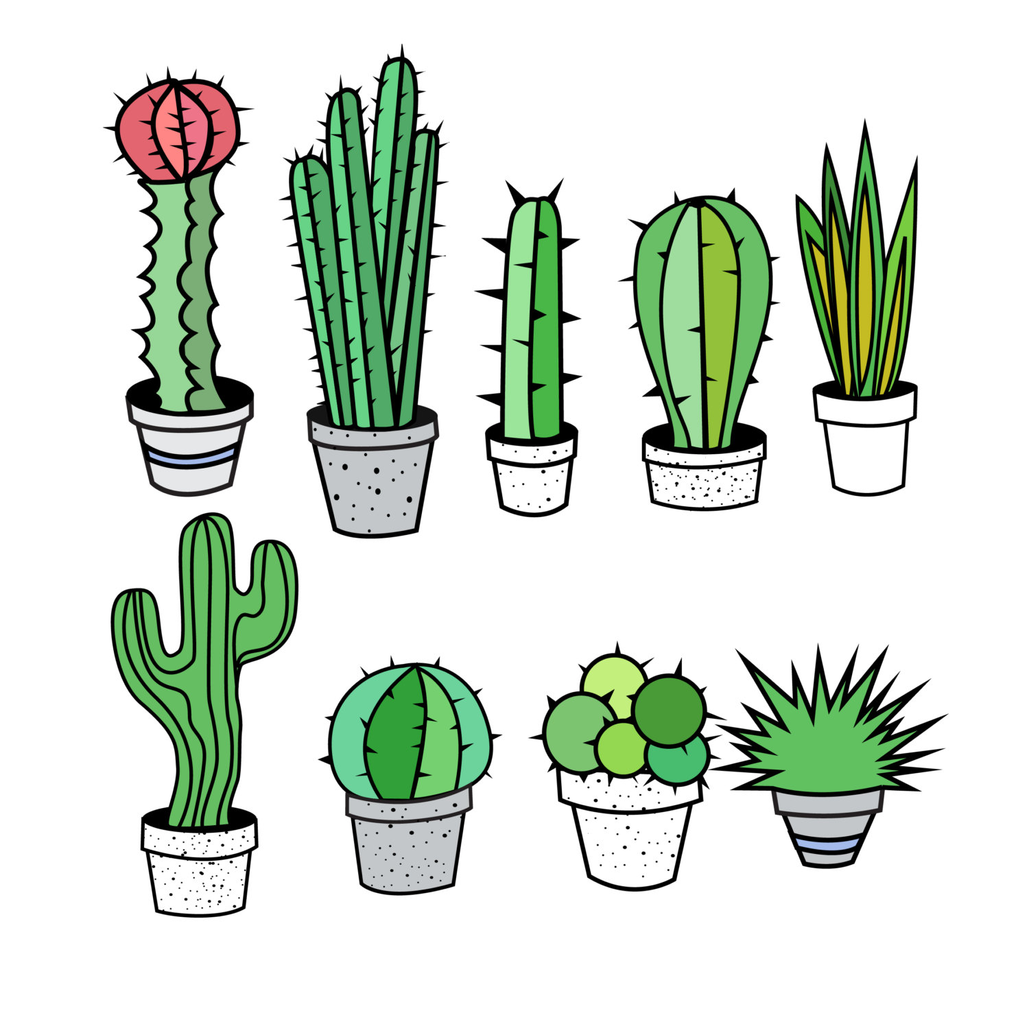 Premium Cactus, Cactus Clip Art, Cacti clipart, Best Cactus.