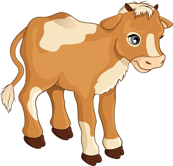 calf clipart.