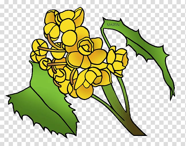 Oregon Grape California State flower, flower transparent.