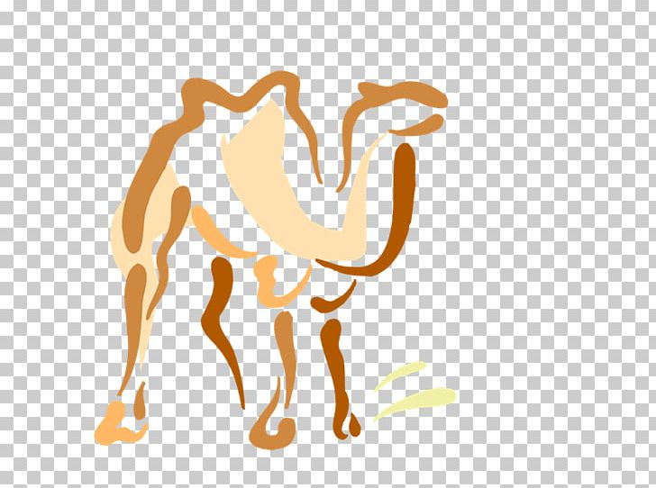 Camel Dromedary Drawing Photography PNG, Clipart, Art, Camel, Camel.