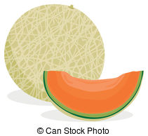 Cantaloupe Illustrations and Clipart. 326 Cantaloupe royalty free.