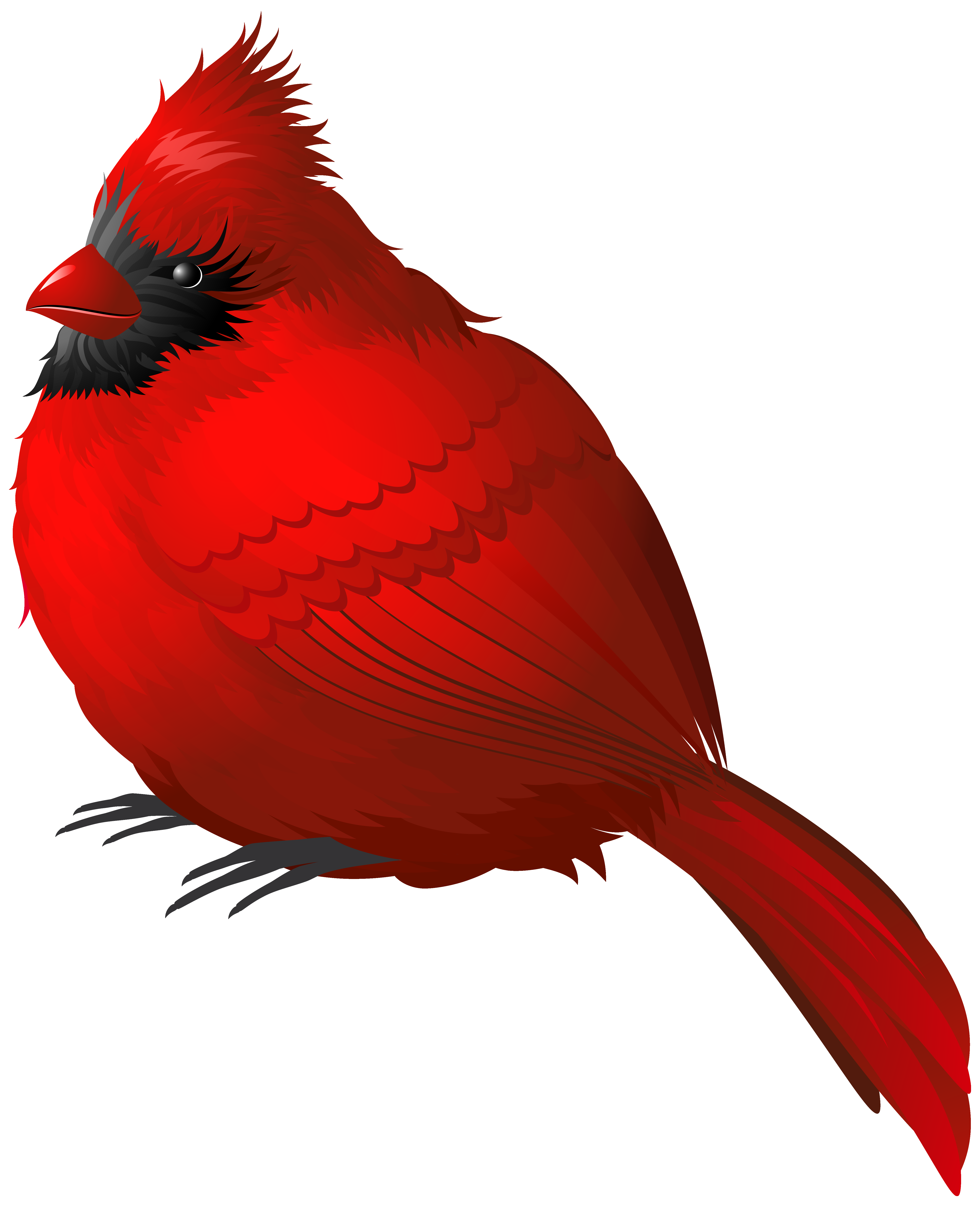 Free Cardinal Bird Png, Download Free Clip Art, Free Clip.