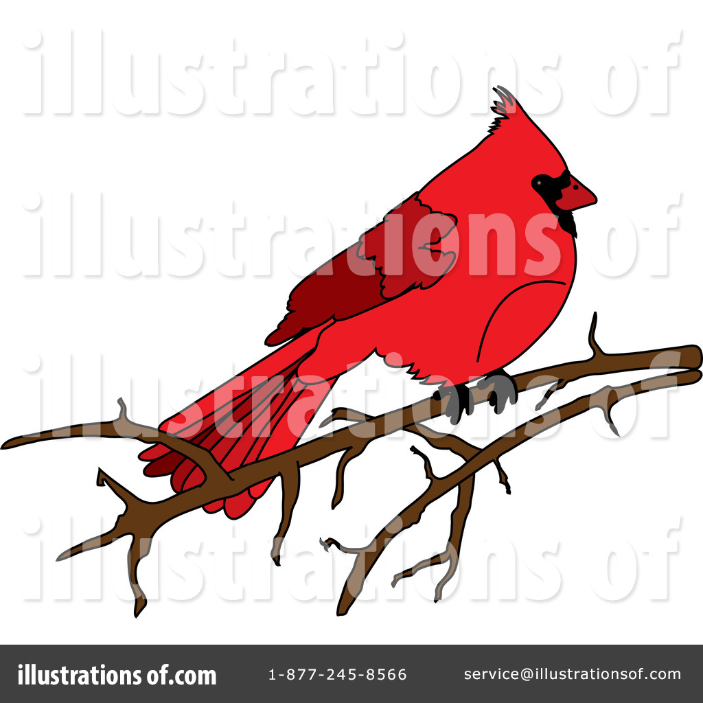 Cardinal Clipart #1410251.