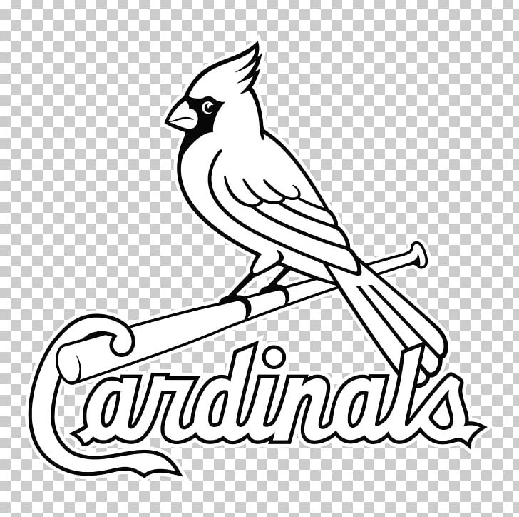 Logos And Uniforms Of The St. Louis Cardinals Baseball PNG.