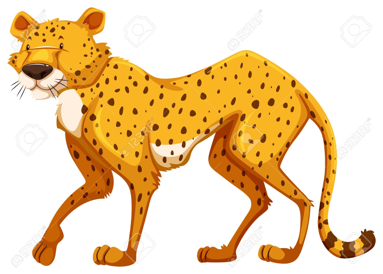 Carnivore Animals Clipart.