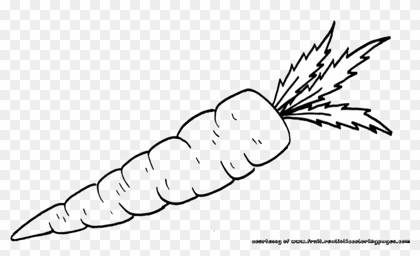 Carrot Clipart Black And White Free.