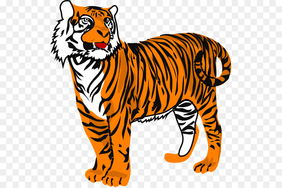 Tiger Cartoon clipart.