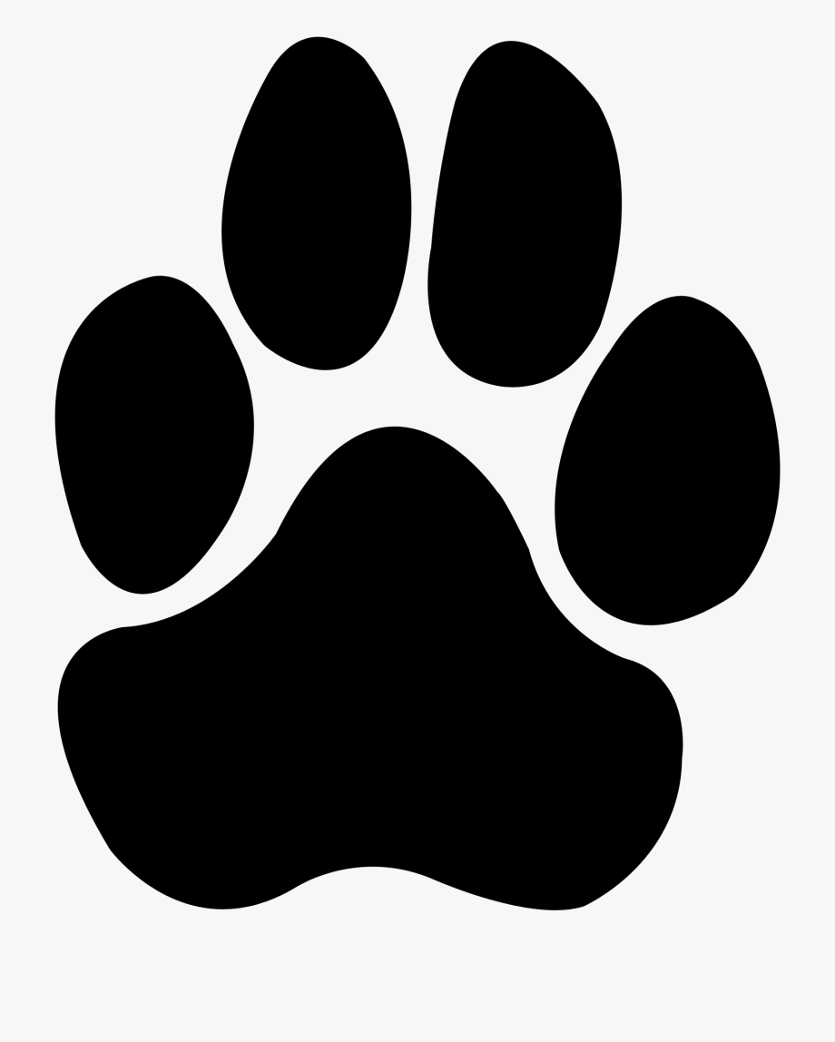 Dog Paw Png.