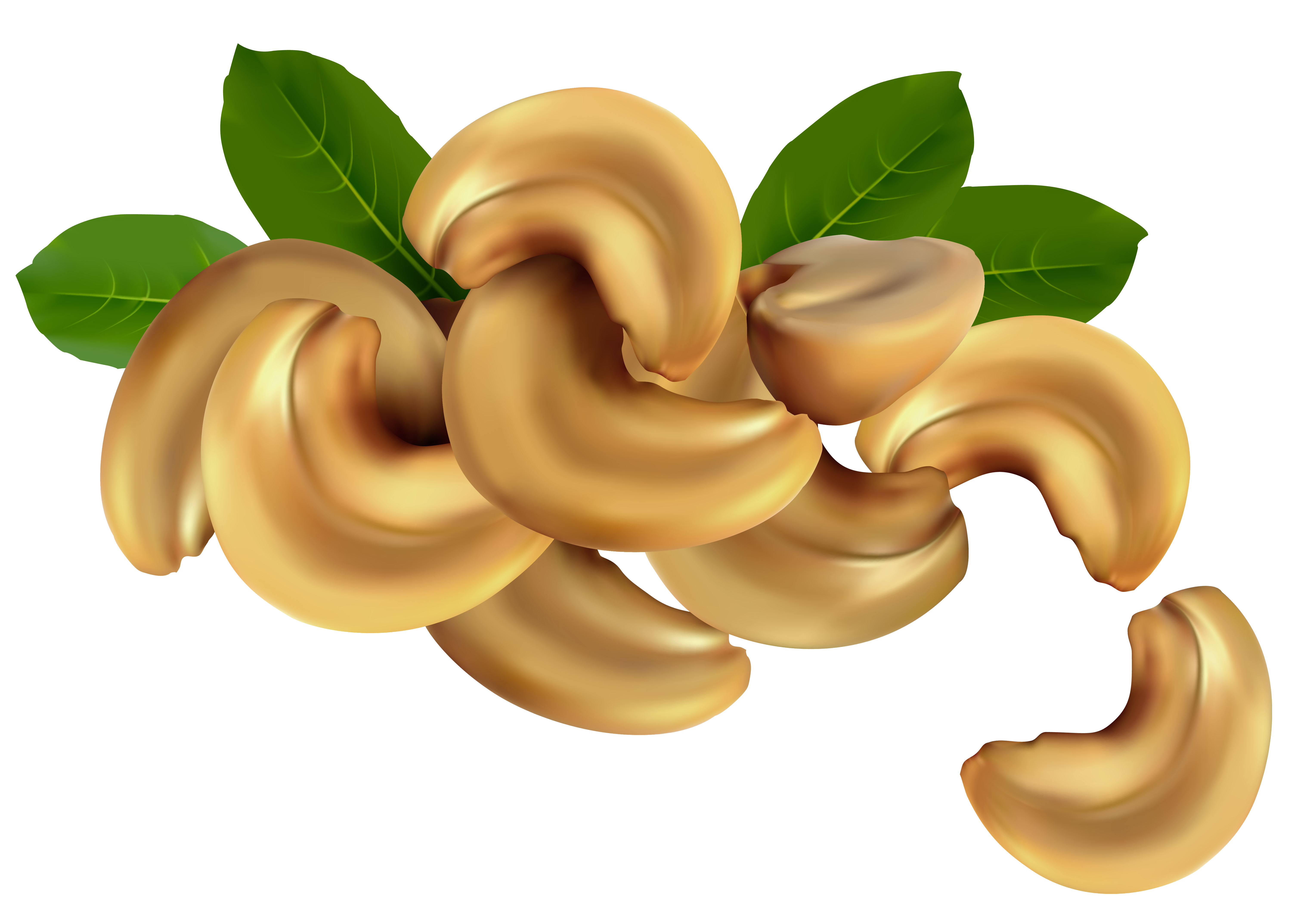 Cashew Nuts PNG Clipart Image.