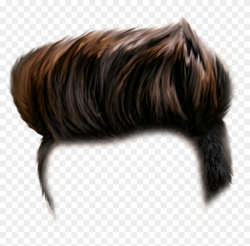 Free Png Download Hair For Picsart Png Images Background.