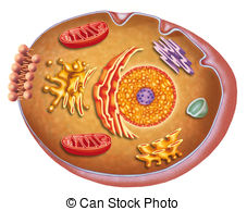 Cell Illustrations and Clipart. 121,865 Cell royalty free.