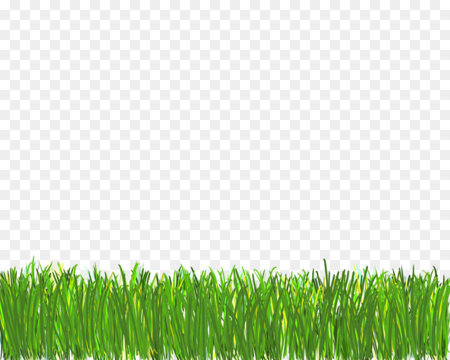 Green Grass Backgroundtransparent png image & clipart free download.