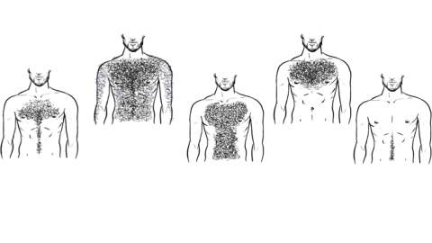 Top five chest hair styles.