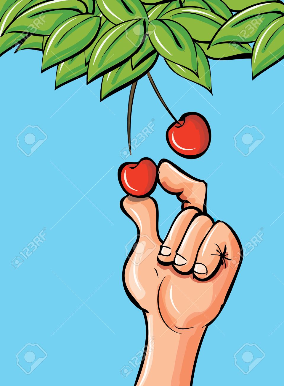 Cartoon Hand Picking A Cherry Of A Leafy Branch Royalty Free.