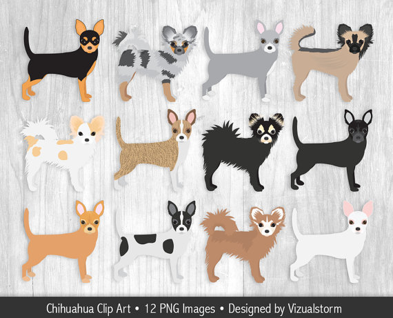 Chihuahua Clipart Hand Drawn Chihuahua Dog by VizualStorm on Etsy.