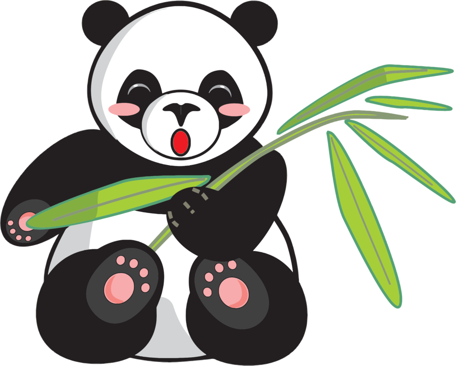 Giant Panda,Carnivoran,Bear PNG Clipart.