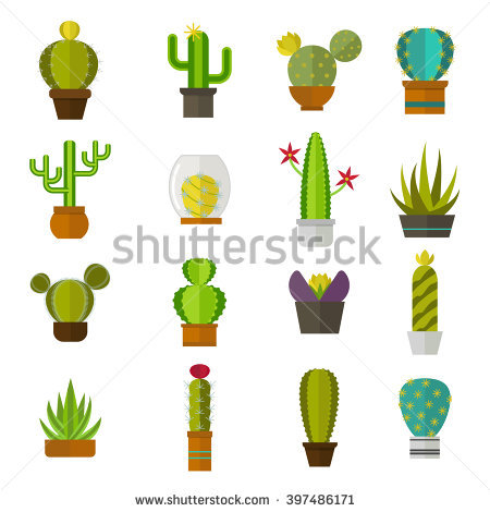 Mexico Landscape Cactus Stock Photos, Royalty.