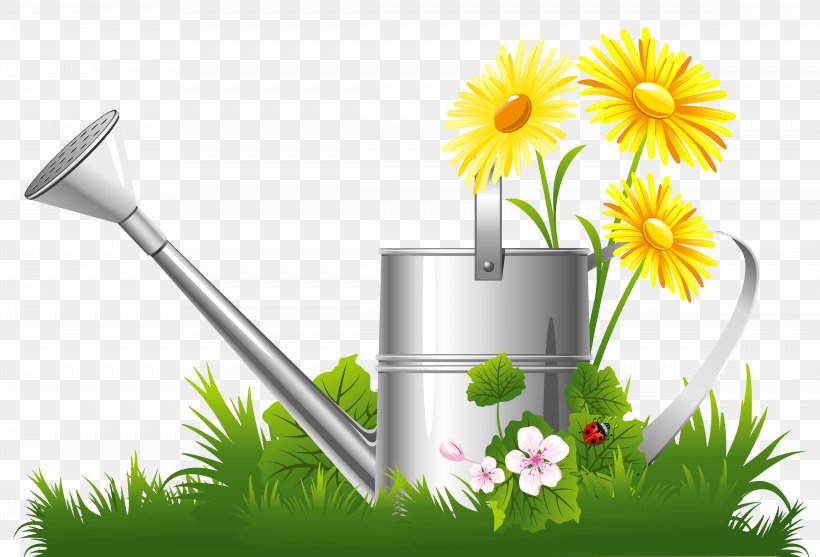 Flower Garden Clip Art, PNG, 9348x6350px, Garden, Daisy.