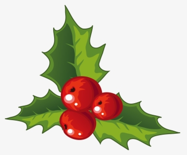 Free Christmas Holly Clip Art with No Background.