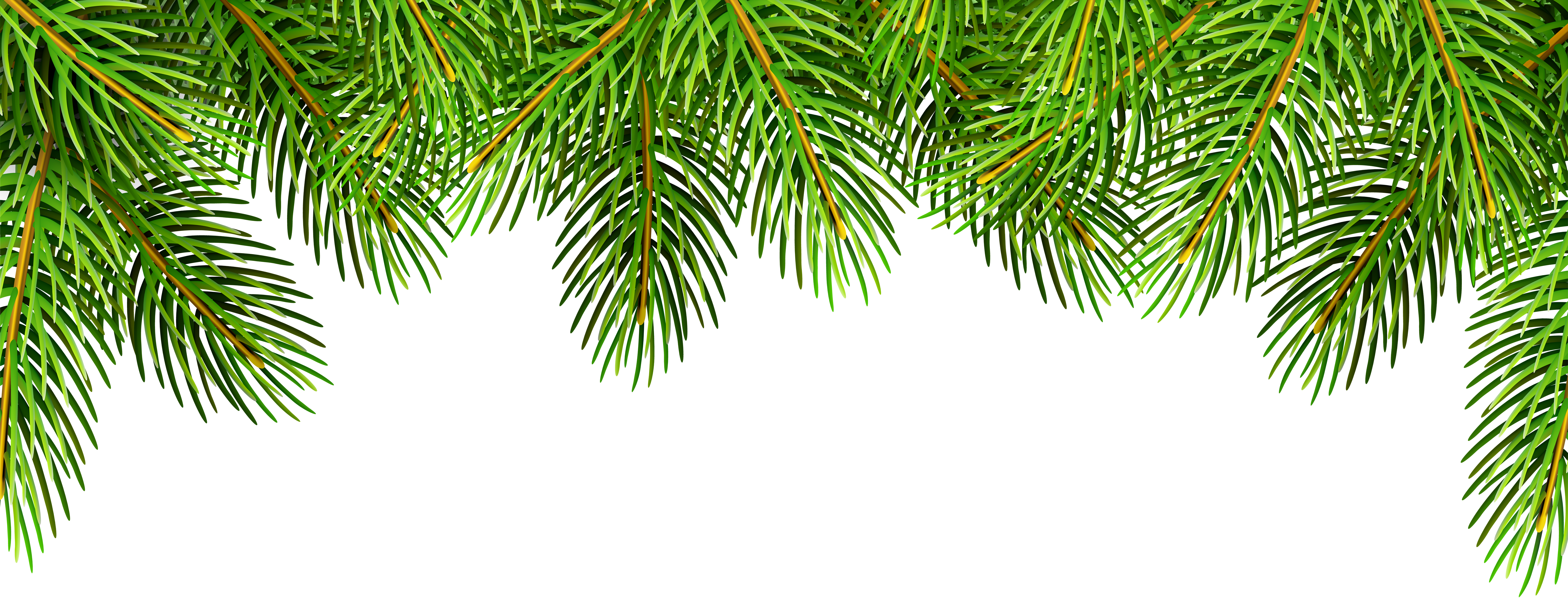 Pine Branches Top Border Clip Art Image.