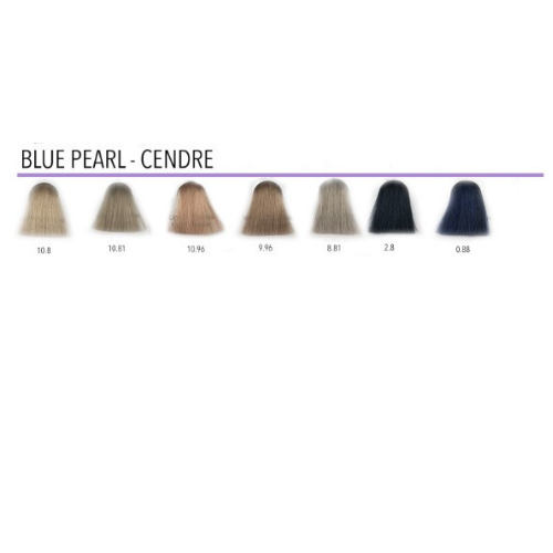 Clairol Professional Blue Pearl/Cendre colours.