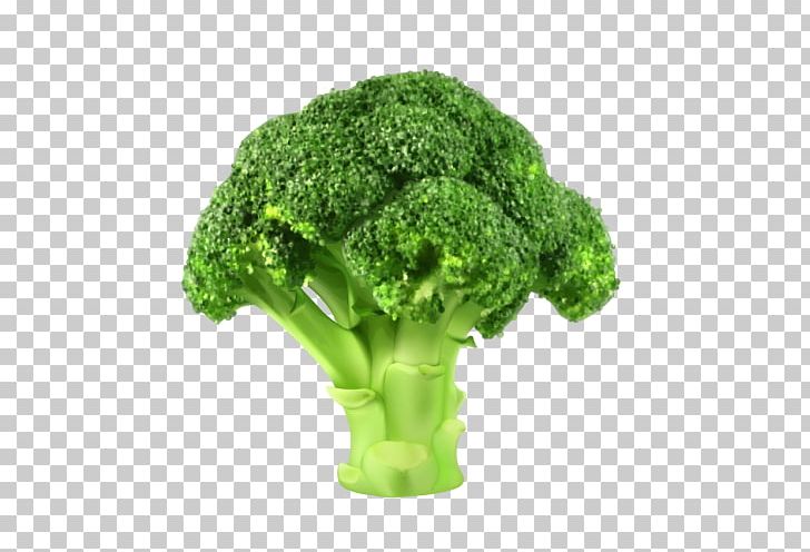 Broccoli Vegetable PNG, Clipart, Broccoli, Can Stock Photo, Clip Art.