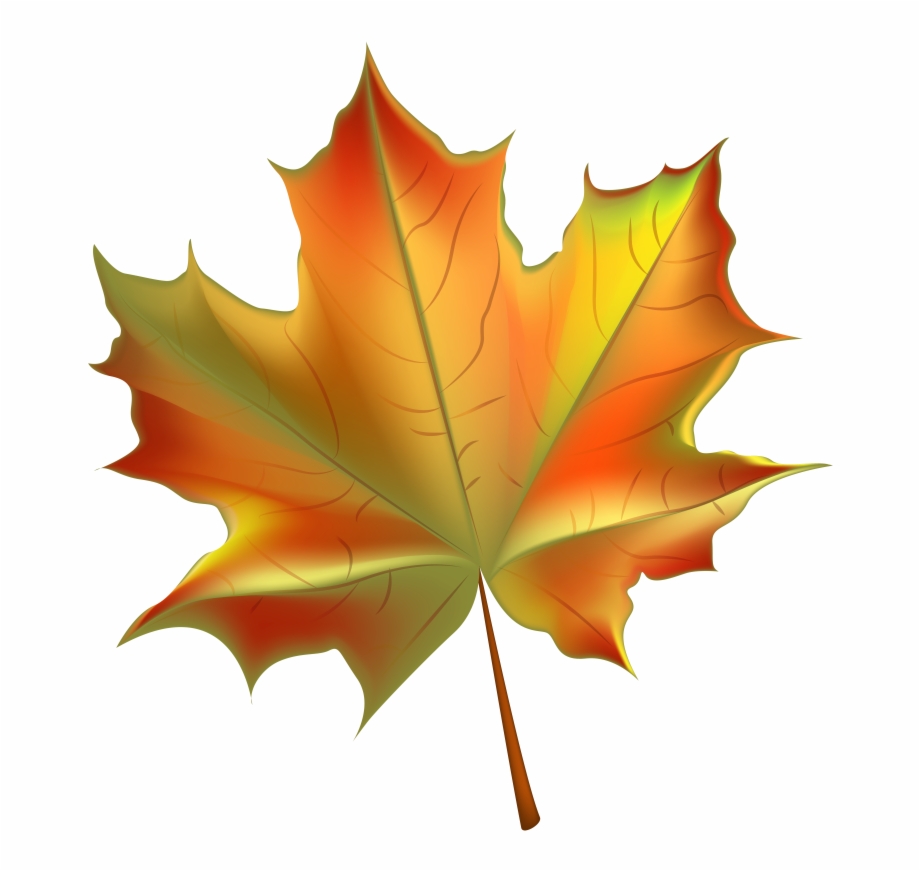 Fall Leaves Background Png.