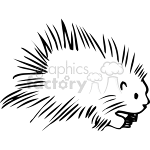 Porcupine clip art. clipart. Royalty.